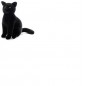 PLUSH & COMPANY "BOOMBY" GATTO NERO 30 CM