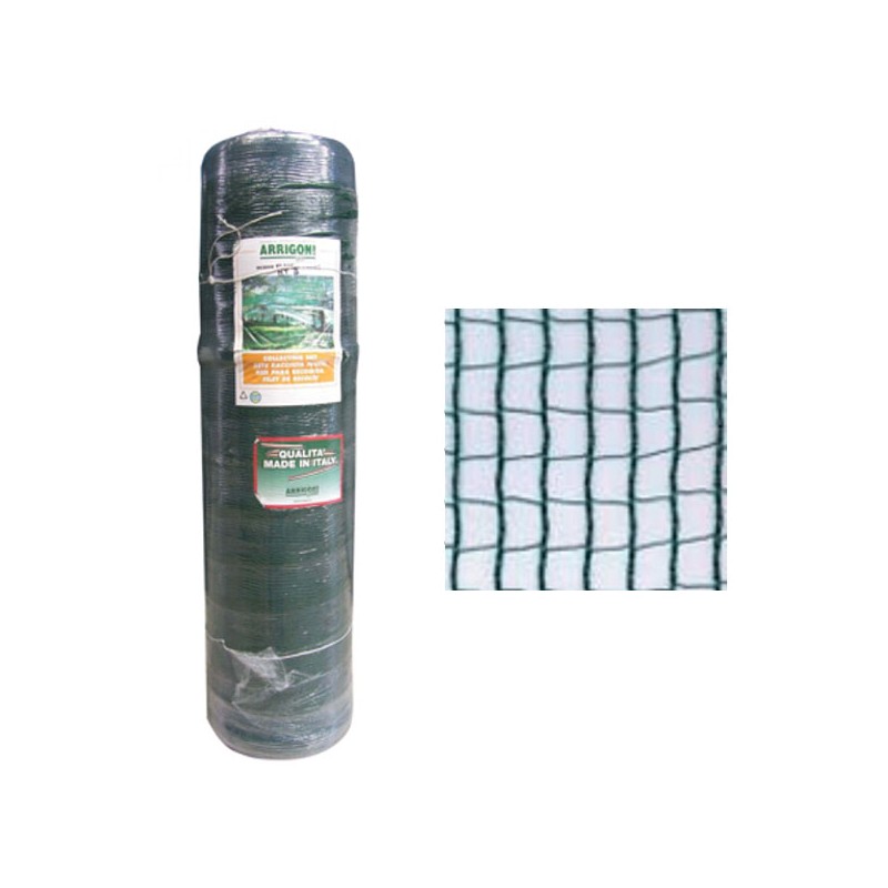 RETE OLIVE g 32 h 300 m 334 ELAION        ARRIGONI