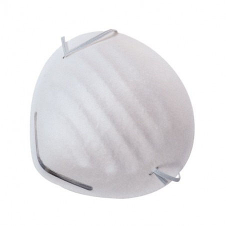 MASCHERA POLVERI Pz 5                    502.00 PG