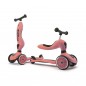 SCOOT AND RIDE HIGHWAYKICK 2 IN 1 PEACH, ANNI 1-5