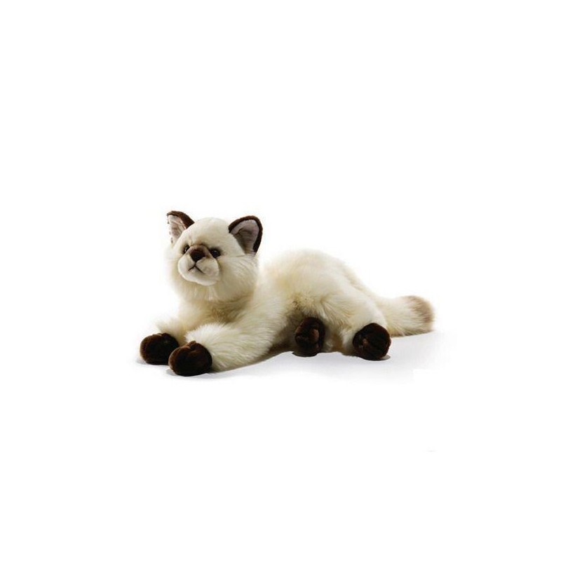 Peluche Gattino Push & Company 40Cm