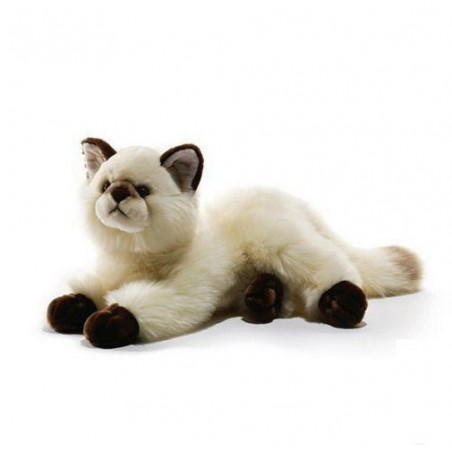 Peluche Gattino Push & Company 40Cm