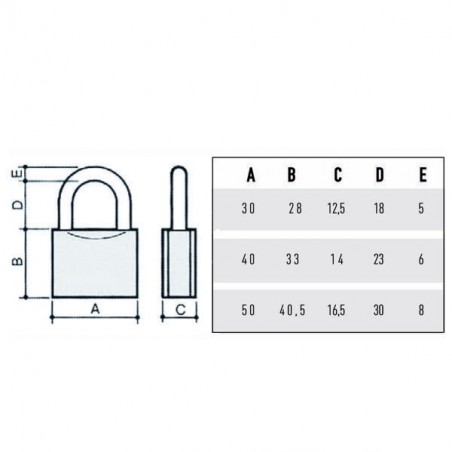 LUCCHETTO OTTONE mm 30 ARCO INOX      2700M POTENT