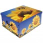 SCATOLA COMPONIBILE         cm 37x31 h 16 TENDENZE
