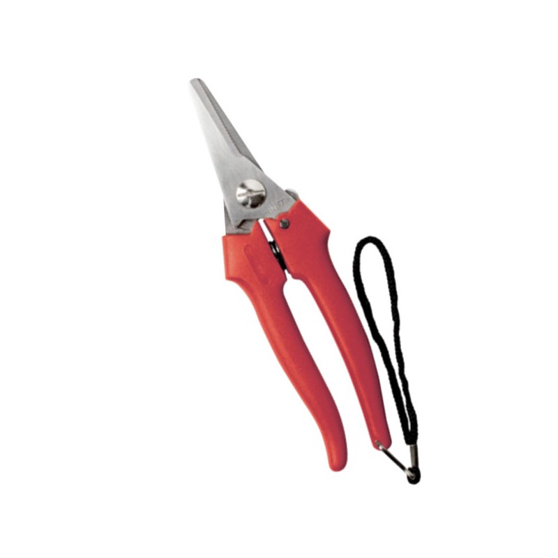 FORBICE COGLIUVA 190 31327 AUSONIA FORBICE COGLIUVA 190 31327 AUSONIA