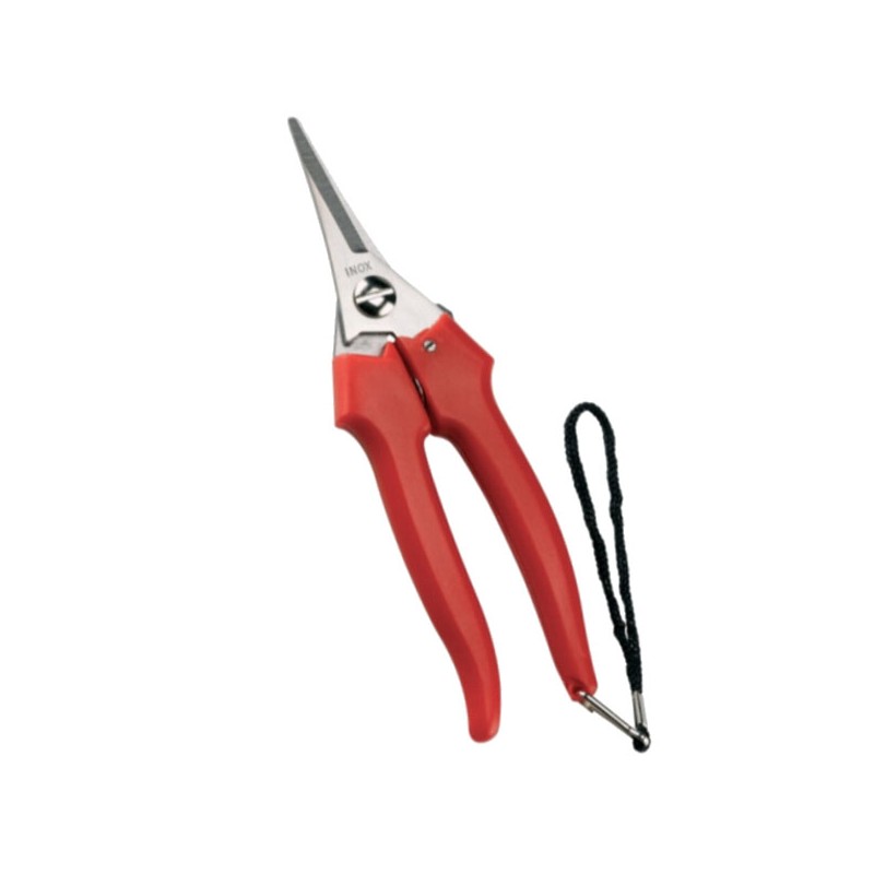 FORBICE COGLIUVA 190 PUNTA           31329 AUSONIA