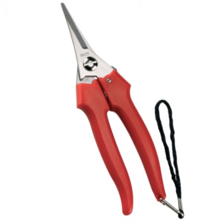 FORBICE COGLIUVA 190 PUNTA           31329 AUSONIA