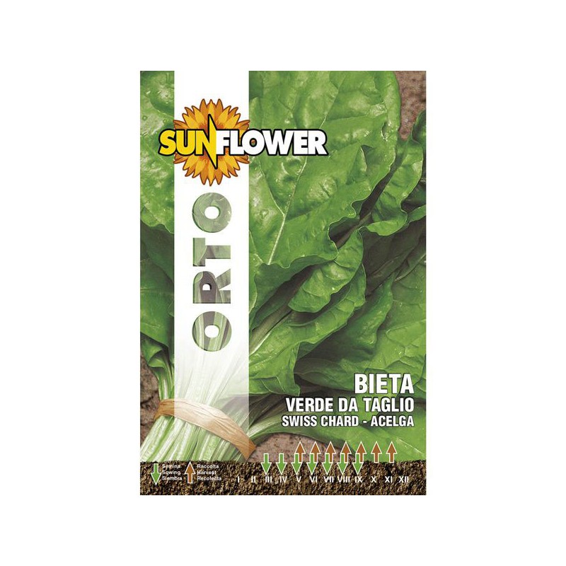 SEMENTI BIETOLA COSTA DA TAGLIO          SUNFLOWER