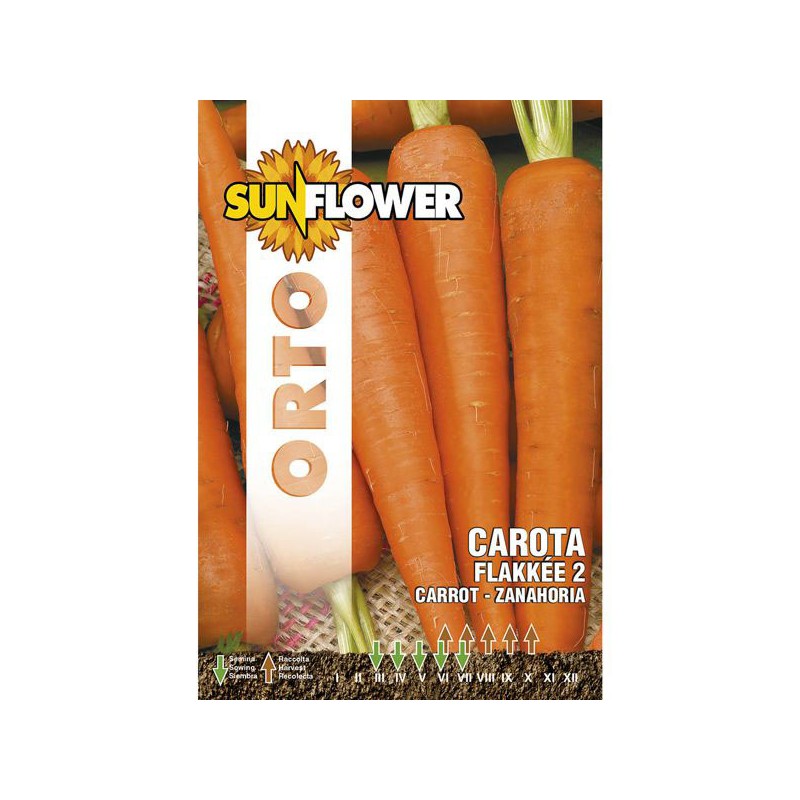 SEMENTI CAROTA FLAKKEE 2                 SUNFLOWER