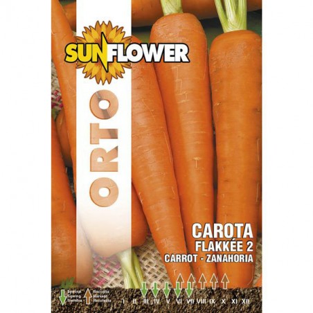 SEMENTI CAROTA FLAKKEE 2                 SUNFLOWER