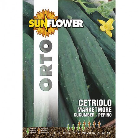 SEMENTI CETRIOLO MARKETMORE              SUNFLOWER