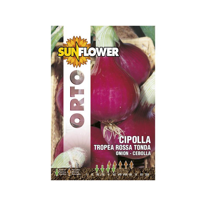 SEMENTI CIPOLLA TROPEA TONDA             SUNFLOWER
