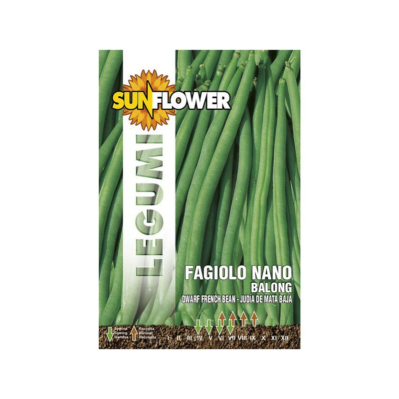 SEMENTI FAGIOLO NANO BALONG              SUNFLOWER
