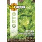 SEMENTI LATTUGA REGINA DELLE GHIACCIOLE SUNFLOWER SEMENTI LATTUGA REGINA DELLE GHIACCIOLE SUNFLOWER