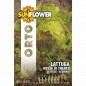 SEMENTI LATTUGA ROSSA DI TRENTO SUNFLOWER SEMENTI LATTUGA ROSSA DI TRENTO SUNFLOWER