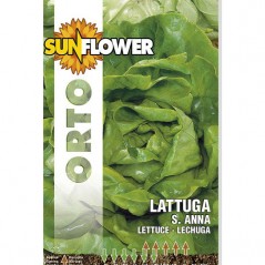 SEMENTI LATTUGA SANT'ANNA                SUNFLOWER
