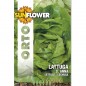 SEMENTI LATTUGA SANT'ANNA SUNFLOWER SEMENTI LATTUGA SANT'ANNA SUNFLOWER