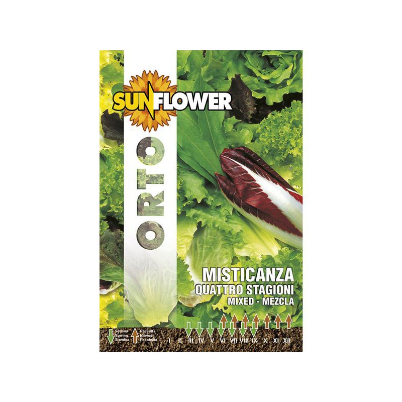 SEMENTI MISTICANZA QUATTRO STAGIONI SUNFLOWER SEMENTI MISTICANZA QUATTRO STAGIONI SUNFLOWER
