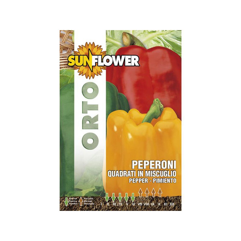 SEMENTI MISTICANZA PEPERONI SUNFLOWER SEMENTI MISTICANZA PEPERONI SUNFLOWER