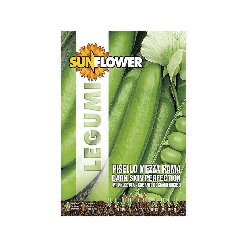 SEMENTI PISELLO MEZZA RAMA PERFECTION    SUNFLOWER