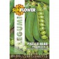 SEMENTI PISELLO NANO PROGRESS 9 SUNFLOWER SEMENTI PISELLO NANO PROGRESS 9 SUNFLOWER
