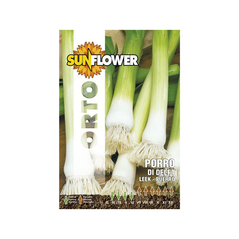 SEMENTI PORRO DI DELFT SUNFLOWER SEMENTI PORRO DI DELFT SUNFLOWER