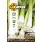 SEMENTI PORRO DI DELFT SUNFLOWER SEMENTI PORRO DI DELFT SUNFLOWER