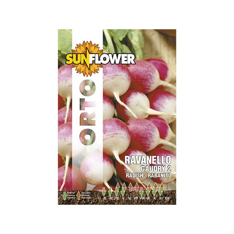 SEMENTI RAVANELLO GAUDRY 2 SUNFLOWER SEMENTI RAVANELLO GAUDRY 2 SUNFLOWER