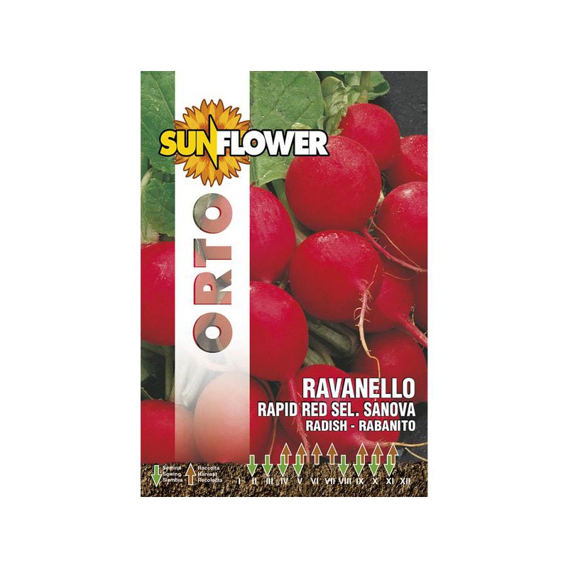 SEMENTI RAVANELLO RAPID RED SUNFLOWER SEMENTI RAVANELLO RAPID RED SUNFLOWER