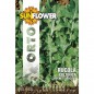 SEMENTI RUCOLA COLTIVATA FOGLIA LARGA SUNFLOWER SEMENTI RUCOLA COLTIVATA FOGLIA LARGA SUNFLOWER