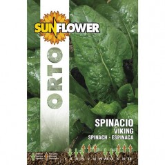 SEMENTI SPINACIO VIKING                  SUNFLOWER