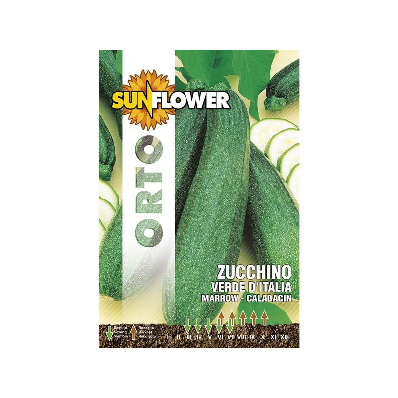 SEMENTI ZUCCHINO VERDE ITALIA            SUNFLOWER
