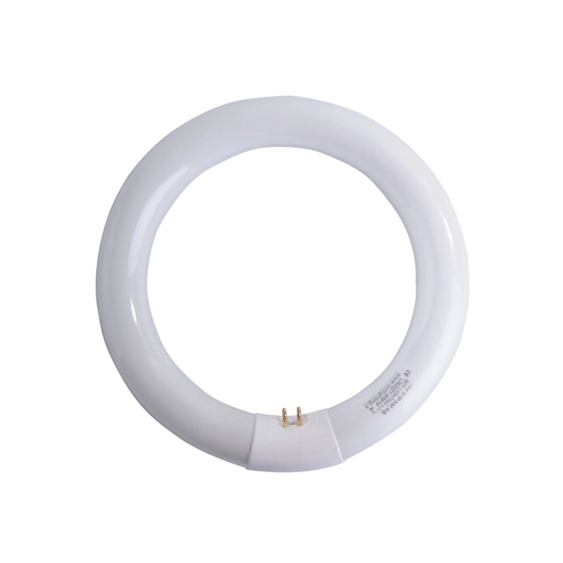 LAMPADA FLUORESCENTE T9 W22 CIRCOLARE        AIRAM