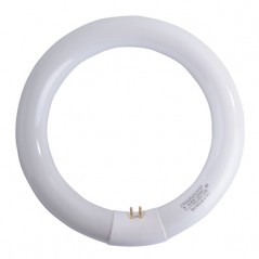 LAMPADA FLUORESCENTE T9 W32 CIRCOLARE        AIRAM