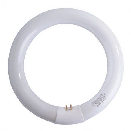 LAMPADA FLUORESCENTE T9 W32 CIRCOLARE        AIRAM