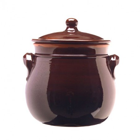 PENTOLA 2 MANICI COPERCHIO       cm 20 BRUNA COLI'